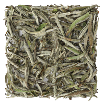 YING ZHEN (Fu Din)