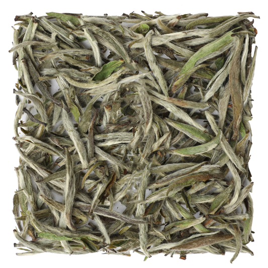 YING ZHEN (Fu Din)