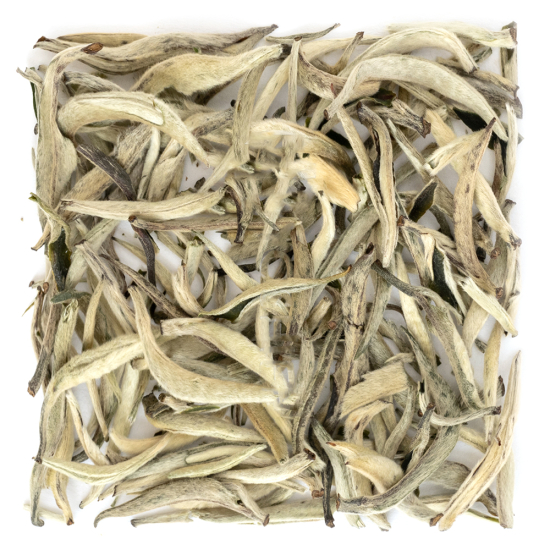 YING ZHEN (Guang Xi)