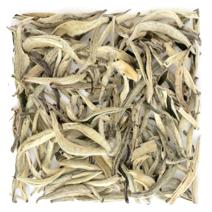 YING ZHEN (Guang Xi)