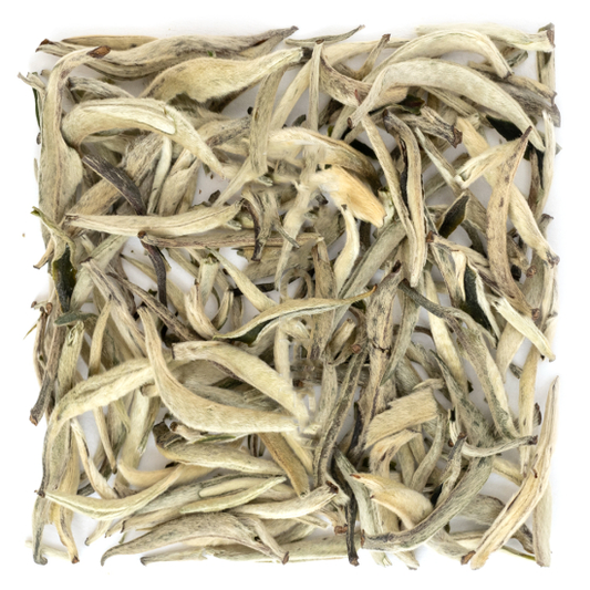 YING ZHEN (Guang Xi)